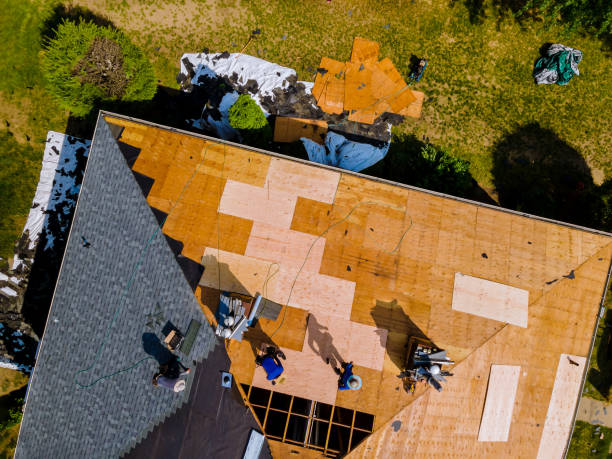 Best Roof Maintenance Services  in Carrollton, VA