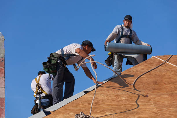 Best Metal Roofing Contractor  in Carrollton, VA