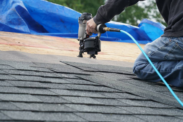 Best Roof Gutter Cleaning  in Carrollton, VA