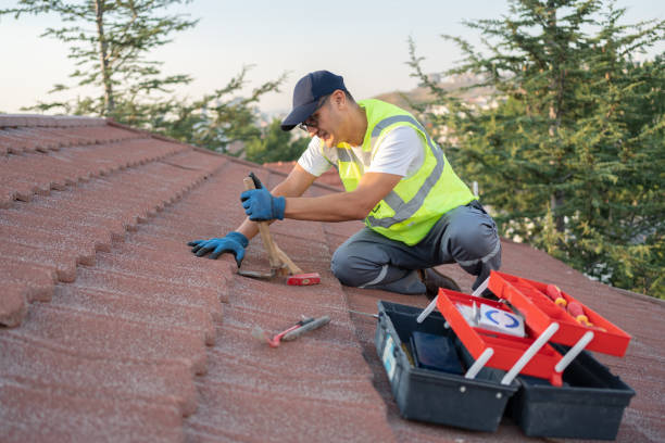 Roof Gutter Cleaning in Carrollton, VA